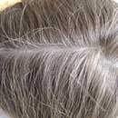 Mit Cassia obovata (neutrales oder farbloses Henna) und Katam (Buxus dioica) gefärbtes aschblondes Haar mit hohem Grauanteil