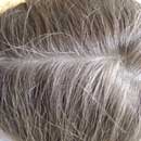 Cheveux blond cendré avec forte proportion de cheveux gris, teints avec du Cassia obovata (henné neutre ou incolore) et du katam (Buxus dioica)
