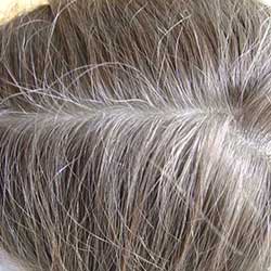 Cheveux traité au Séné (Cassia obovata ou Henné neutre)
