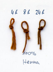 Fils de laine teints avec la coloration végétale de henné (Lawsonia inermis)