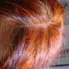 Rotes Haar