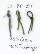Brins de laine teints avec un mélange de colorants capillaires naturels de l'indigotier (Indigofera tinctoria) et du henné neutre (Cassia obovata) Brins de laine teints avec un mélange de colorants capillaires naturels de l'indigo des Indes (Indigofera tinctoria) et du henné incolore (Cassia obovata)