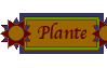 Plante