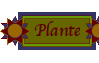 Plante