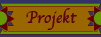 Projekt