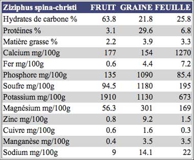 valeurs nutritives de l'jujubier